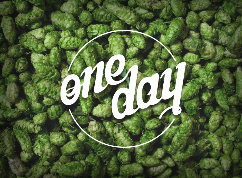 One Day Brewing Co